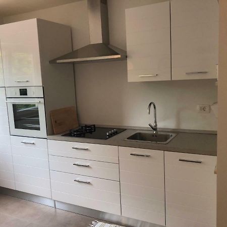 Apartment Safran Novigrad Istria Exterior foto